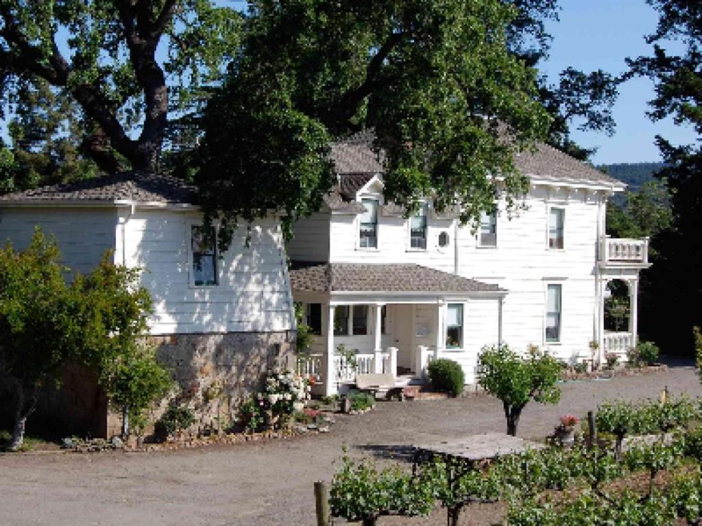 Inn At Salvestrin 세인트 헬레나 외부 사진